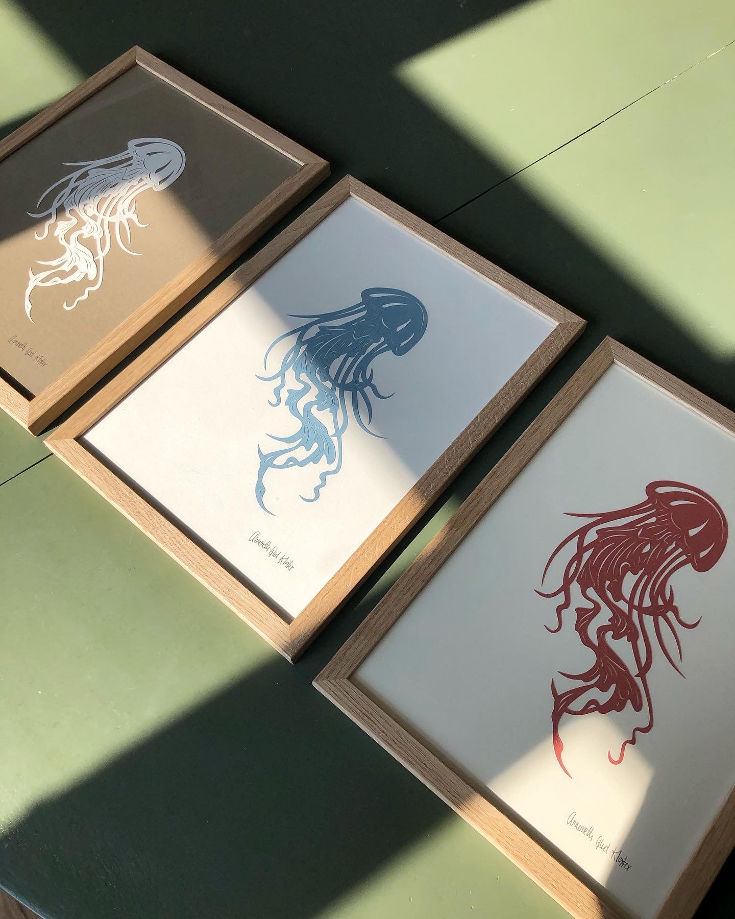 Støvet blå gople, A4